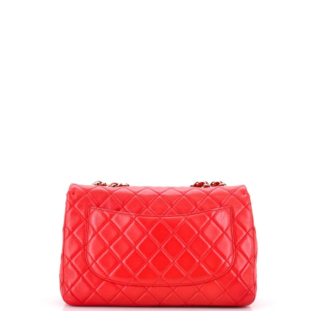 Chanel Classic Single Flap Bag Quilted #249624C34B - Picture 3 of 9